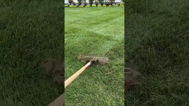 Газон. Аэраторные грабли. смотреть онлайн