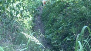 Поход по реке Угра. Сплав на байдарке по Угре. Река до Знаменки