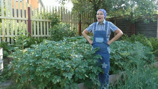 Уход за картошкой в июле смотреть онлайн