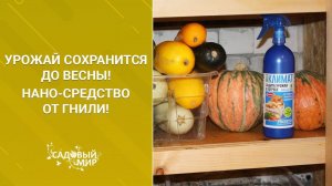 Урожай сохранится до весны! Нано-средство от гнили!