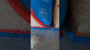 Какой рис лучше?