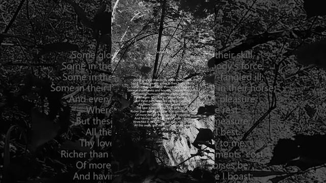 Sonnet #91 - William Shakespeare смотреть онлайн