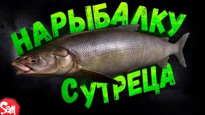 РЕШИЛИ ПОРЫБАЧИТЬ | Deadside | Стрим