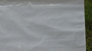 Комбинируем пыжи: ГП+ДВП и ГП+войлок, тест на кучность