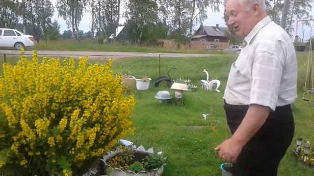 Деревенское видео ТВ#43 смотреть онлайн