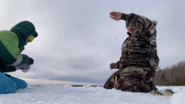 Чама. Старый заярск. 04.2021г. смотреть онлайн