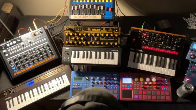 The Wasp’s nest смотреть онлайн