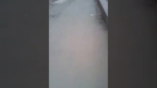 Сравниваем цены/ОБЗОР продукции в магазинах "Магнит,, смотреть онлайн