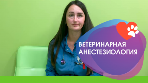 Частые вопросы в ветеринарной анестезиологии