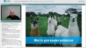 eLama: Эффективный ремаркетинг в Ads: как вернуть тех, кто не стал клиентом от 18.12.2018