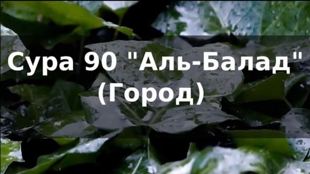 Сура Аль Балад (Город) Сура 90 Красивое чтение Мишари Рашид смотреть онлайн