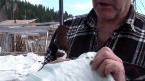 улучшаем винтовку stoeger x 10