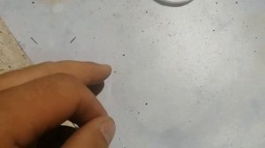 Лавандовое масло против Клеща Варроа