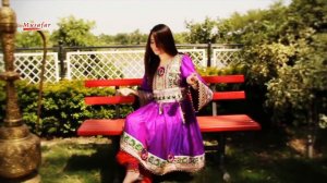 GUL PANRA | Da Stargo Tora | Pashto Song 2020 | Pashto HD Song | Pashto Songs