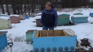Как сделать отводок пчёл на старую матку. Владимирский улей лежак, работы на пасеке с пчёлами.
