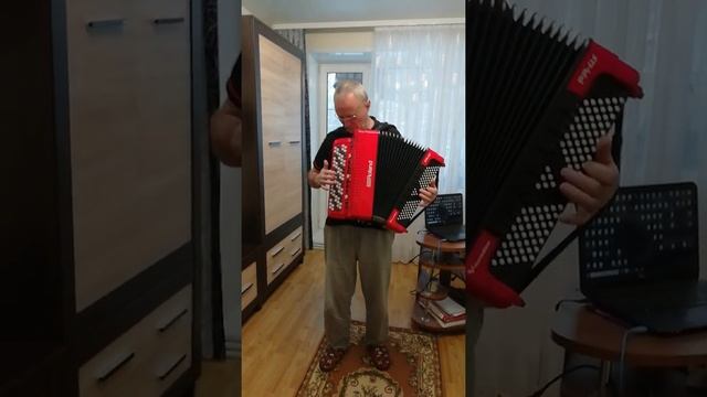 Цыганочка. Стародуб