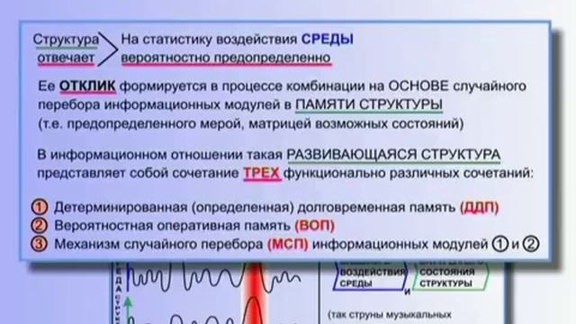 11. КОБ — ОПИСАНИЕ РАБОТЫ ИНТЕЛЛЕКТА смотреть онлайн