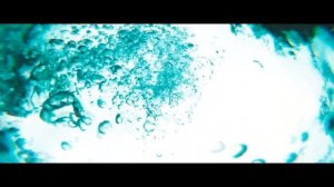 Тизер "Мой друг нерпа" (Teaser "My friend the seal")