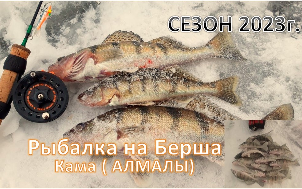 Открылся по БЕРШУ. ( Кама "АЛМАЛЫ" 4.12.2022г.)