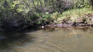 по Горным рекам Дальнего Востока.Рыбалка на спиннинг!