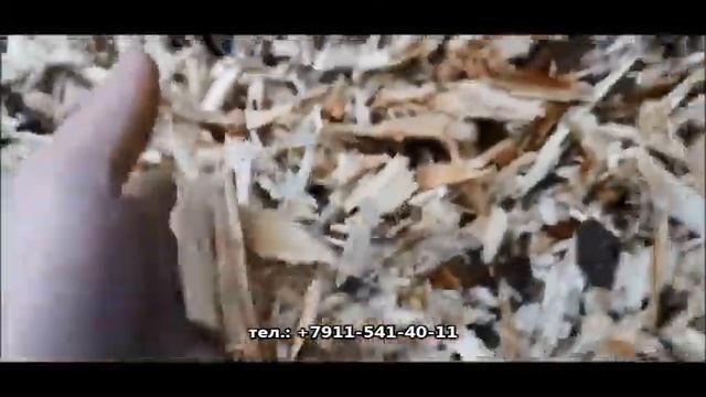 Шредер двухвальный 
