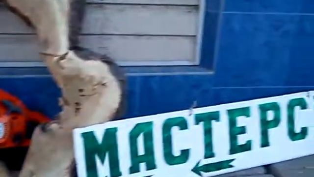 ЗАТОЧКА ЦЕПЕЙ  СУПЕР НАСТРОЙКА ПИЛЫ  Супер НАСТРОЙКА  Механики  Ноухау  Ищем ВНЕДРЕНИЕ  ИОНОВ  МЕХА