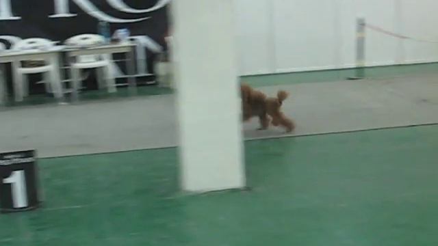 Делисс Серпантин Умбриэль смотреть онлайн