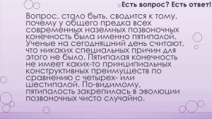 10 популярных вопросов и ответов на них, часть 7