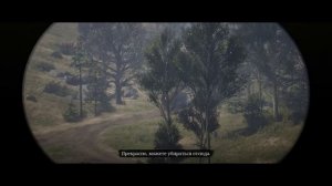 Red Dead Redemption 2  - Благородные воры