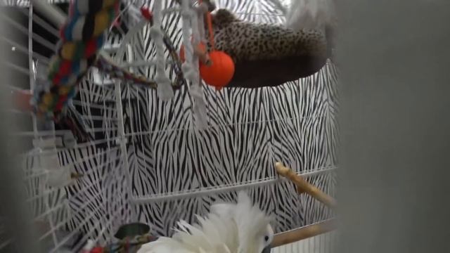 Чем МЫ ЗАНИМАЕМСЯ в 2 часа ночи? смотреть онлайн