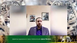 Интервью с директором Сайлюгемского национального парка (Республика Алтай) Денисом Маликовым.
