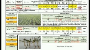Анализ почвы лабораторией на наличие влаги и азота.