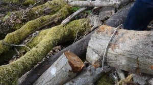 Тест пилы. Silky Katanaboy 650. Samurai 330 mm. Цепная пила. Makita электрическая.