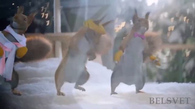 Шуточный новогодний клип с белками