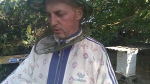 Для северо-крымских ульев все таки лучше подходит бакфаст.