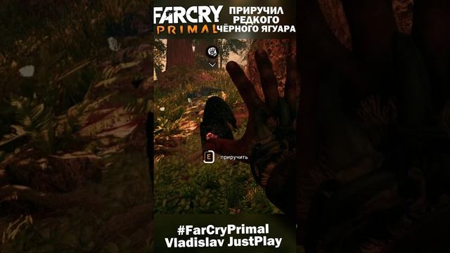 ПРИРУЧИЛ БЫСТРОГО РЕДКОГО ЧЁРНОГО ЯГУАРА ? #Клипы #FarCryPrimal #ЧёрныйЯгуар