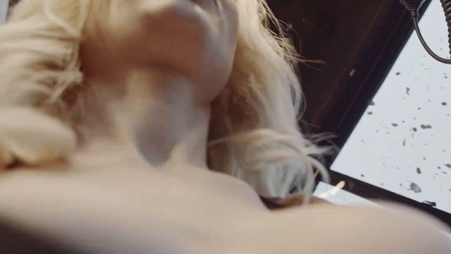 Незабываемые эмоции гарантированы: катание на вездеходе BigBo, бронируйте скорее! смотреть онлайн