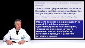 Как таурин вызывает рак. О чем молчит Ольга Павлова (@user-qt8yu2dw7v)?