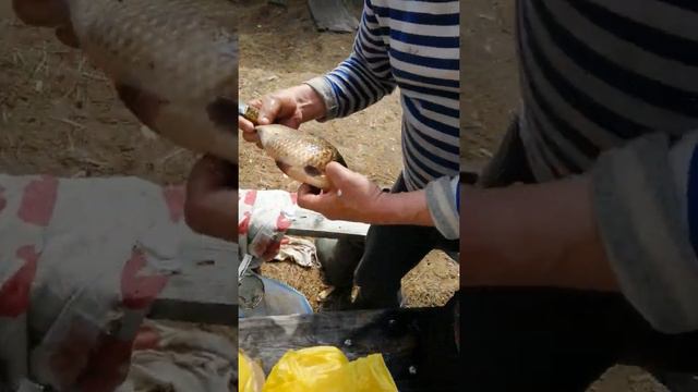 Охота и рыбалка весна 2020 смотреть онлайн