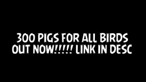 300 Pigs For All Birds OUT NOW!!!!