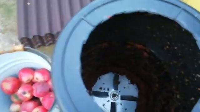 Очередная самодельная дробилка для яблок. Видео от Василия. смотреть онлайн