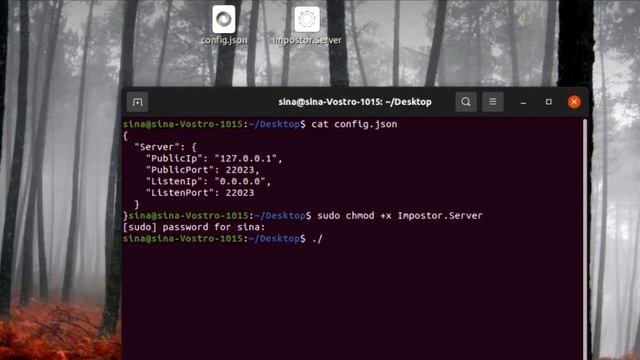 I created a custom server for Among Us? смотреть онлайн