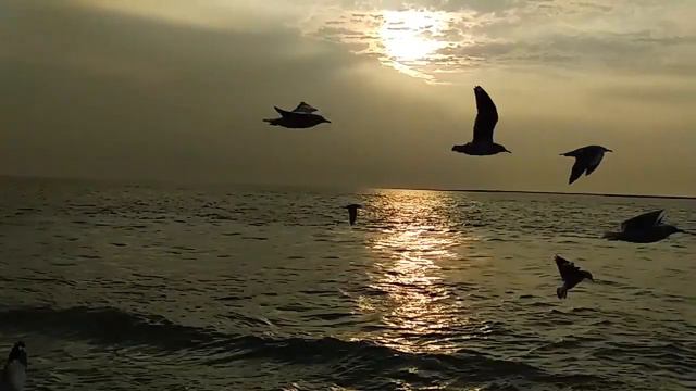 Sun set.. Way back form Saint Martin's Island. смотреть онлайн