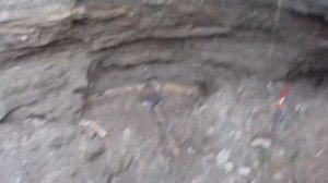 Селенит Федоровского месторождения