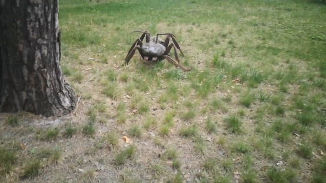 Underwater headphones "AquaSonos" for Nokta/Makro,Minelab,XP,Garrett,Tesoro,Fisher... смотреть онлайн