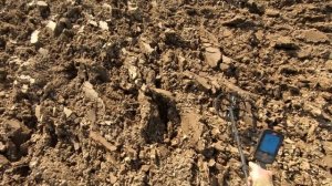 MINELAB MANTICIRE Посмотри Реальный Поиск перед Покупкой! NOKTA LEGEND и MINELAB MANTICORE Результа