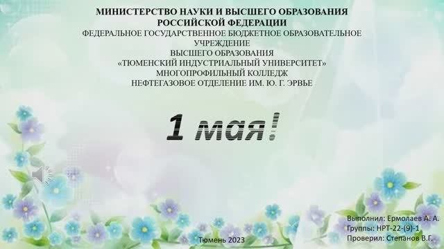 Ермолаев А. А. НРТ-22-(9)-1