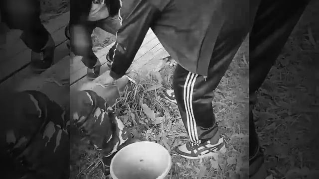 Самые вкусные шашлычки в мире Кавказская кухня смотреть онлайн