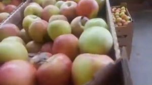 Яблоки крымские оптом