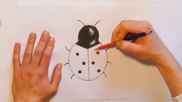 Божья коровка карандашом для начинающих // Рисунки для детей поэтапно смотреть онлайн